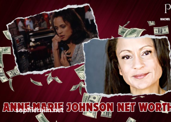 Anne-Marie Johnson Net Worth