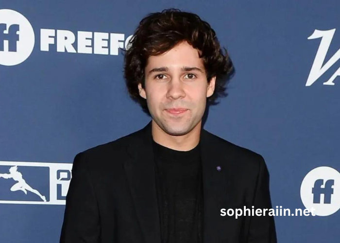 David Dobrik Net Worth